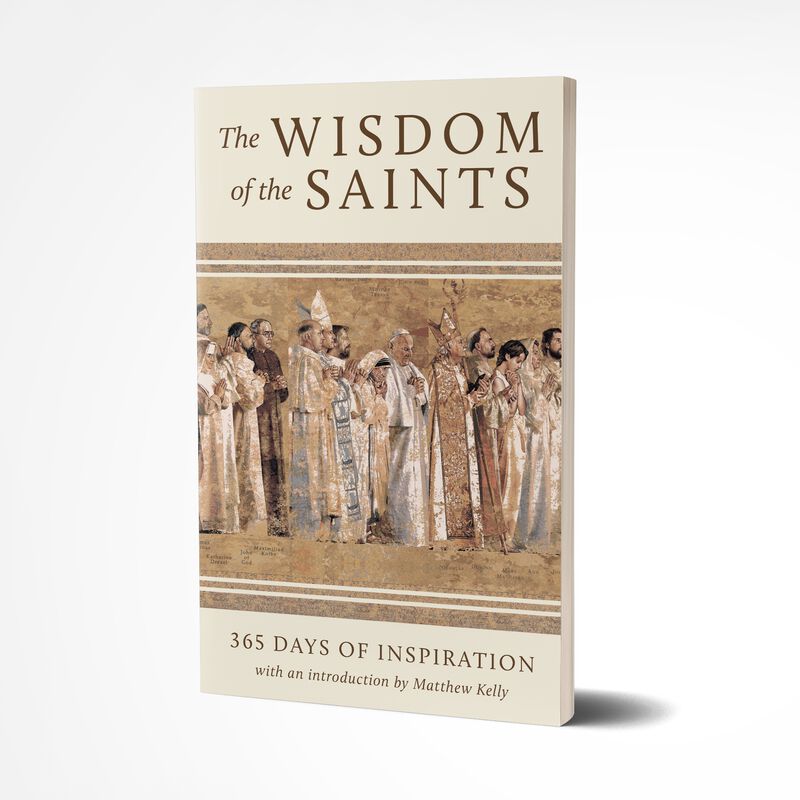 Product image for The Wisdom of the Saints [Christmas Pre-Order] image number 0